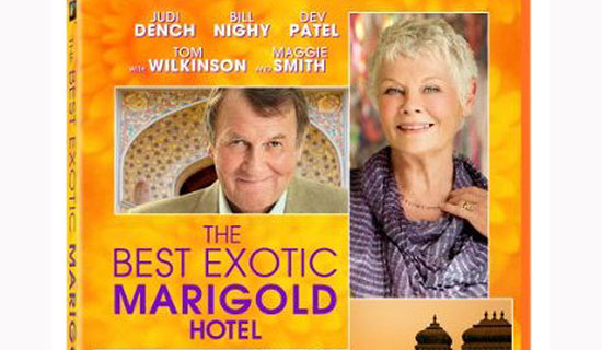 The best Exotic Marigold Hotel