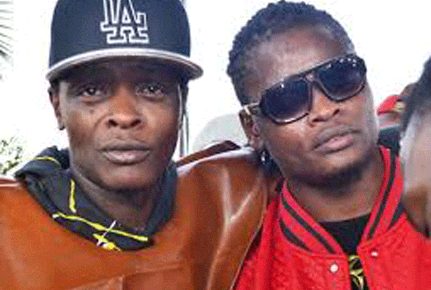 Image result for chameleone and pallaso